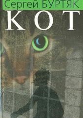 Кот