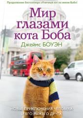 Мир глазами кота Боба