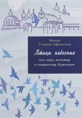 Птицы небесные или через молитву к священному безмолвию. Том II