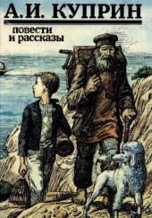 Рассказы