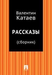 Рассказы