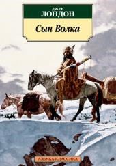 Сын Волка