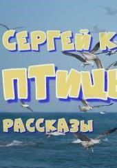 Сборник рассказов