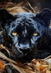 Бразильский кот
