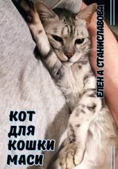 Кот для кошки Маси