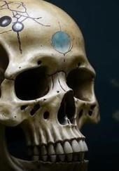 Семена из гробницы