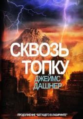 Сквозь топку