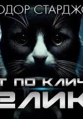 Кот по кличке Хеликс