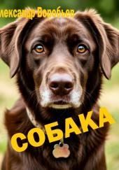 Собака