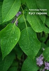 Куст сирени